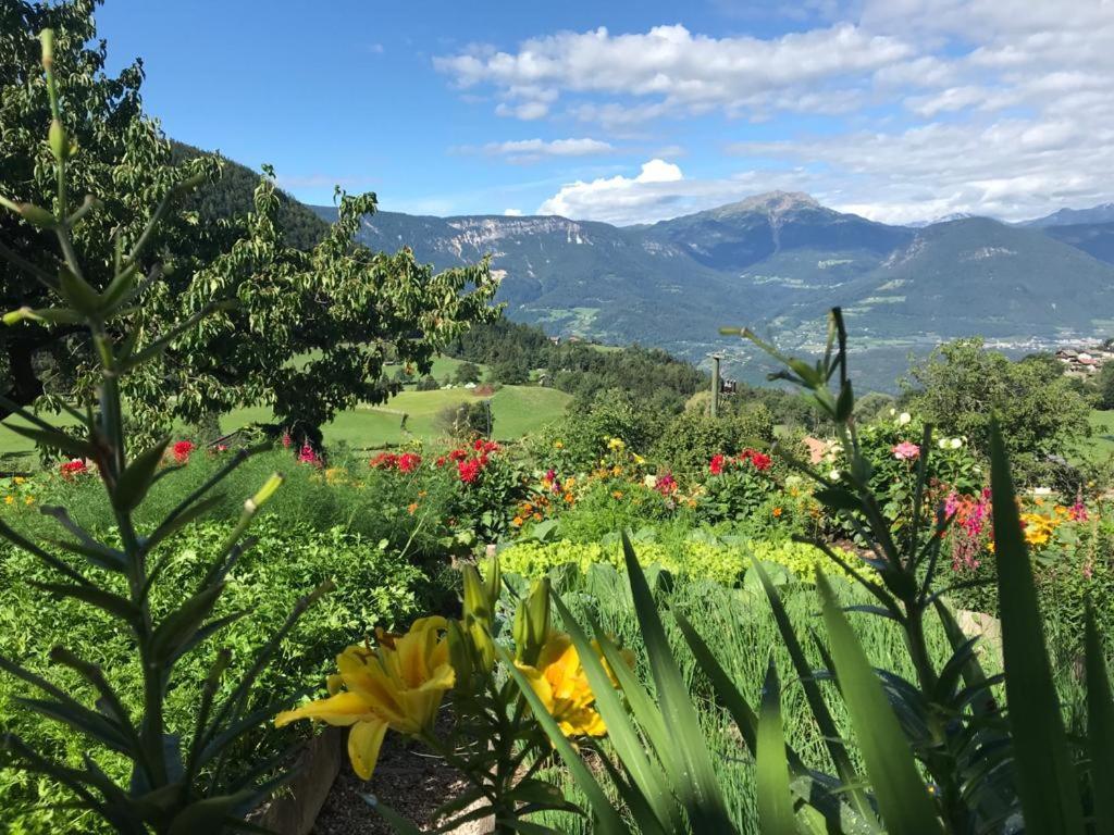 Alpenrose Appartement Meltina Buitenkant foto