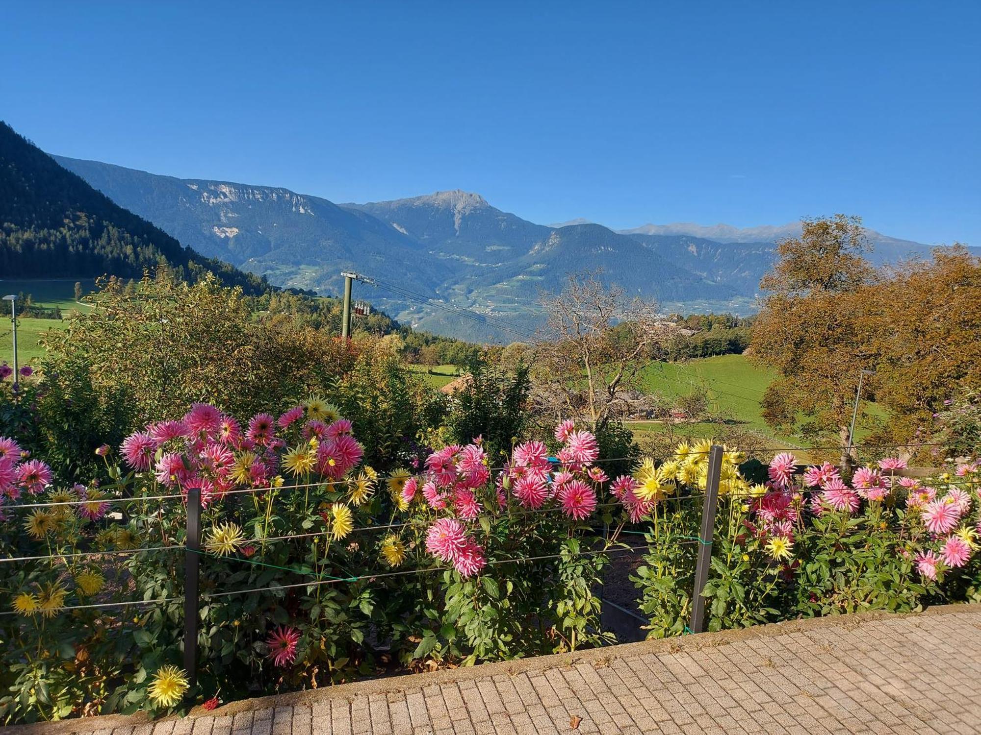 Alpenrose Appartement Meltina Buitenkant foto